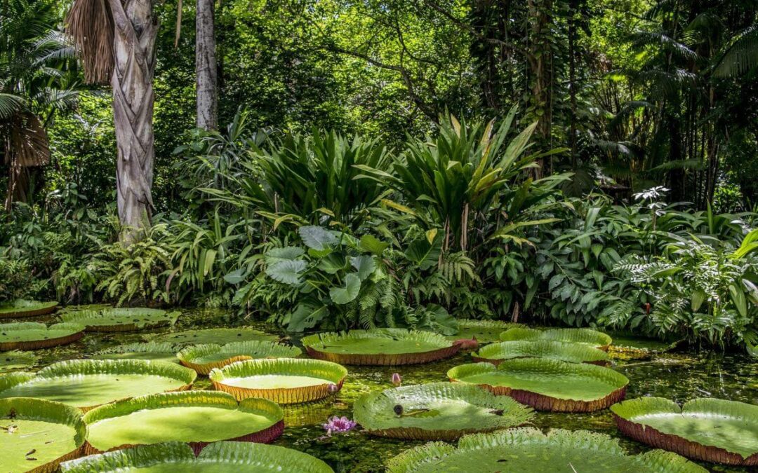 Turismo naturalistico in Perù