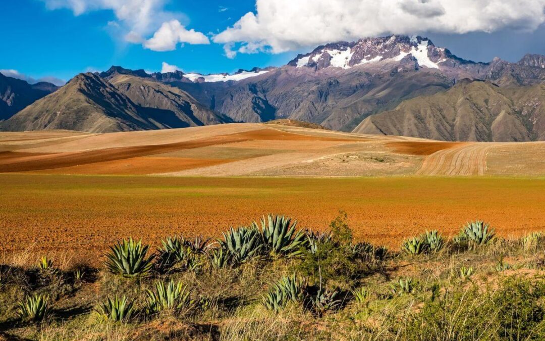 Perù lungo la costa del Pacifico e Bolivia